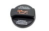 Cylinder head oil plug 924