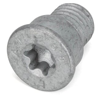 Hexagon socket head screw brake disc M12x1,5x16x19