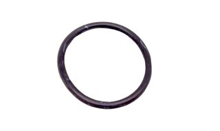 O-Ring 31,0 x 3,0