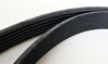 Ribbed V-Belt 6 PK 2115 (with AC)