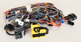 Harness Light - center section/ Front right - 992 Turbo/ Turbo S