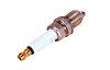 Spark Plug 965 / 993 TT / 996 TT / 996 GT3 MK1 Euro - 996 GT3 Cup 2002, FR6 LDU