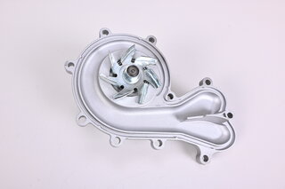Water pump with gasket