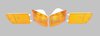 Frontblinker Satz - Orange 964