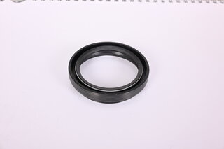 Shaft sealing ring 42 x 55 x 7