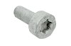 Vis à tête cylindrique M10x1x25 (Tiptronic)