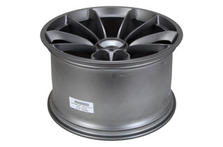 12,5x21 ET48 OE Felge Zentralverschluss Platinum-Seidenmatt