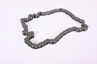 Timing chain