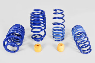 991TT Lowering Springs PASM (Tüv) 15-20mm, without Neveau regulation
