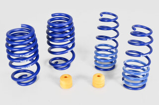 991TT Lowering Springs PASM (Tüv) 15-20mm, without Neveau regulation