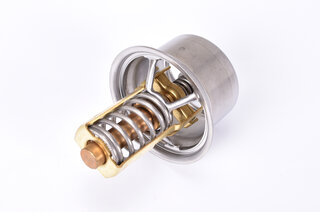 Thermostat (open at 81°C)