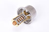 Thermostat (open at 81°C)