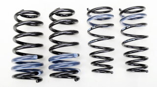 991 Lowering Springs PASM (Tüv) 15-20mm, only C2,C"S, without Neveau regula