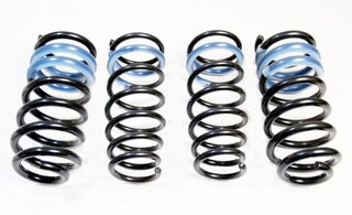 991 Lowering Springs PASM (Tüv) 15-20mm, only C4,C4S