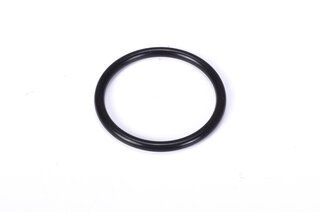 O-Ring 31,0 x 3,0