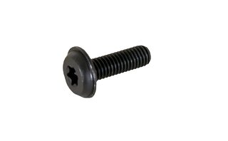 Linsenschraube M5x16 Carr. GT, 997 GT3R 10/11,