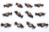 Mechanical Rocker Arm Set - Adjustable and Reinforced - Street / Sport / Club Sport / Race