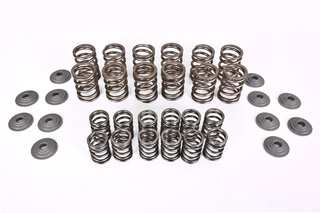 Valve Spring + Titanium Retainer Kit 993 / 993 Turbo+GT2 - Clubsport / Race - Max. 110 kg (242 lbs.)