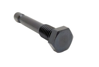 Chain Guide Rail Bolt