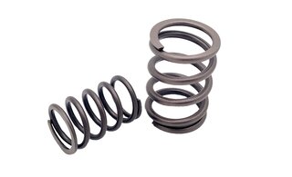 Valve Spring Set 993