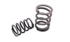 Valve Spring Set 993