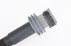 Bobine 981/C, 987-2/C-2, 997-2/TT, 997GT3, 991/TT, 991GT3