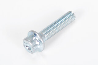BBS screw 6x26 from head ( torque 17 Nm)