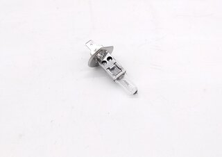 Ampoule 12V  55W H1