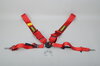 Schroth 4 Punkt Gurt Profi 2-FE ASM 75/50mm links rot FIA(Schraubbeschlag)