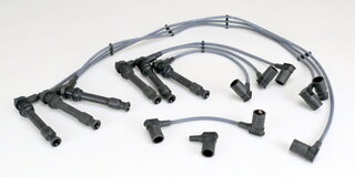 Ignition Cable Set 965 3.6 L