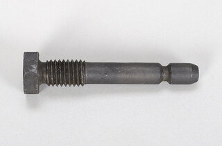 Chain Guide Rail Bolt