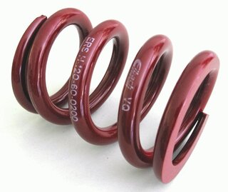 Hauptfeder 120-60-200