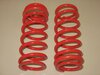 Spring Front 996 GT3 (Set)