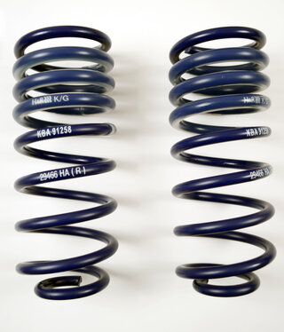 Tieferlegungs Federnsatz 996 C4 (Tüv)