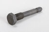 Chain Guide Rail Bolt