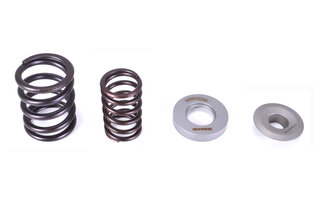 Ventilfeder-Satz - Sport - mit Titanteller für 911 / 964