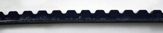 Belt 13x975