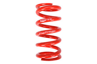 Main spring 170-60-110